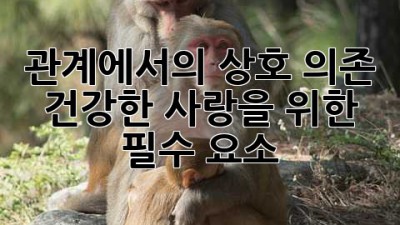 관계에서의 상호 의존: 건강한 사랑을 위한 필수 요소