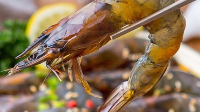 놓치면 후회! 깐새우장🦐양념대하장🦐 초특가 후기!